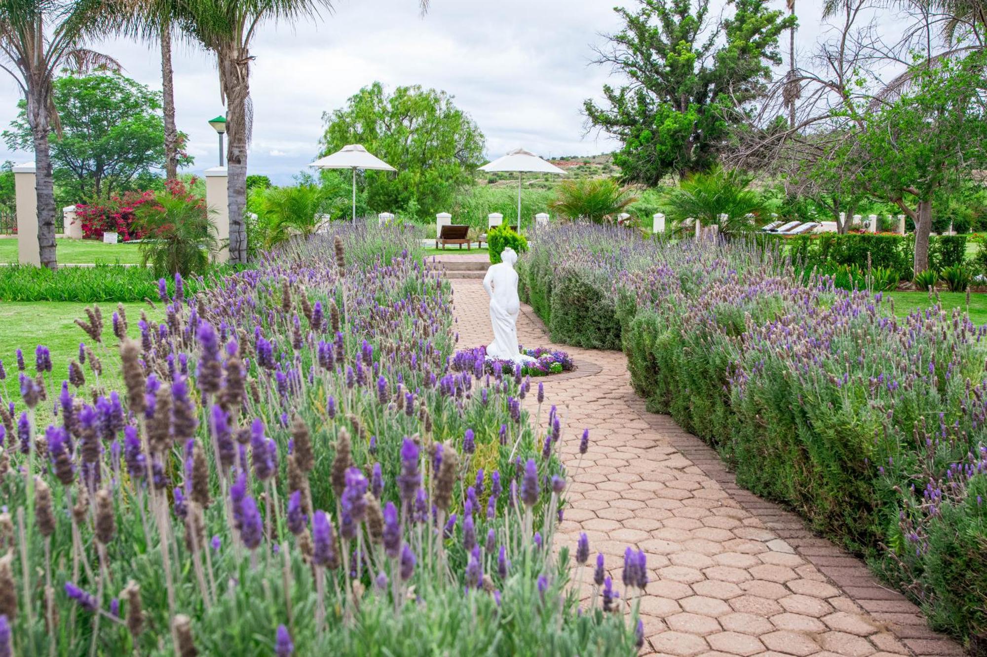 Bakenskraal Ostrich Palace Oudtshoorn Ngoại thất bức ảnh
